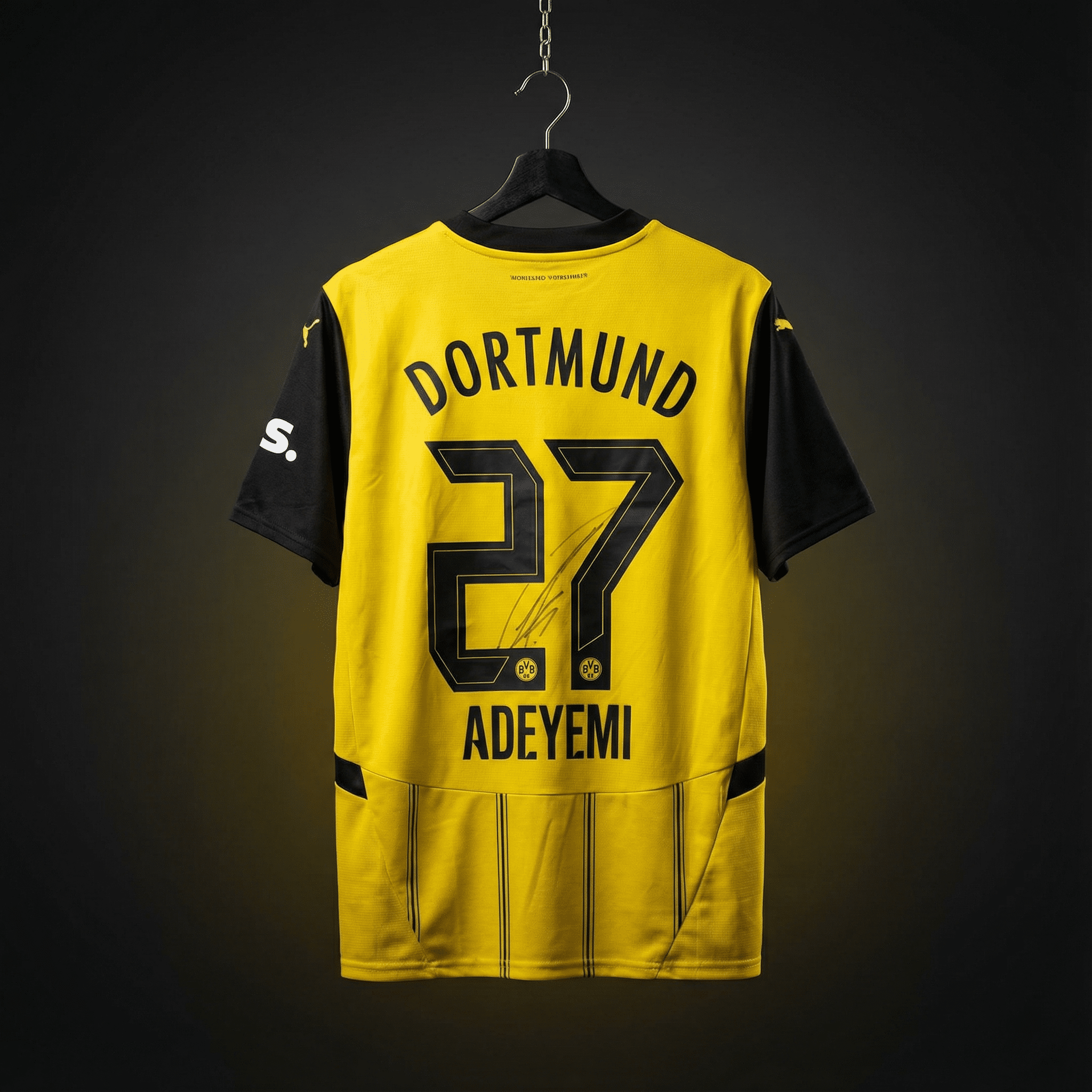 MysteryPacks - DORTMUND SPECIAL PACK | GARANTIERTE DORTMUND - UNTERSCHRIFT PITCHSIDE GmbH